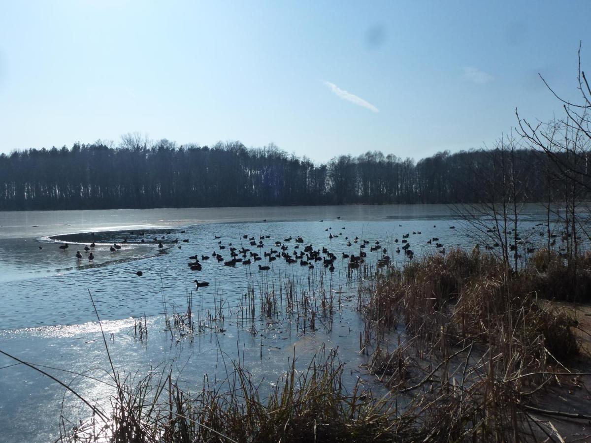 Seeblick Kemnitz Werder  Exteriör bild